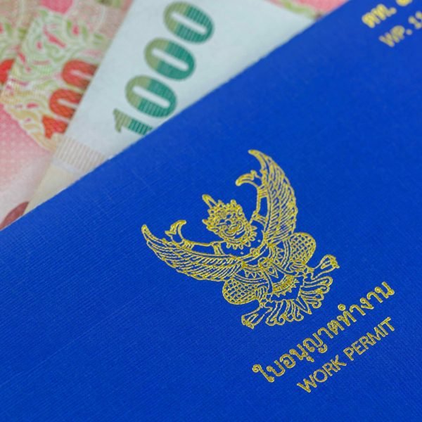 Selective focus of blue Thai Work Permit book (WP.11) on Thai Baht banknote money